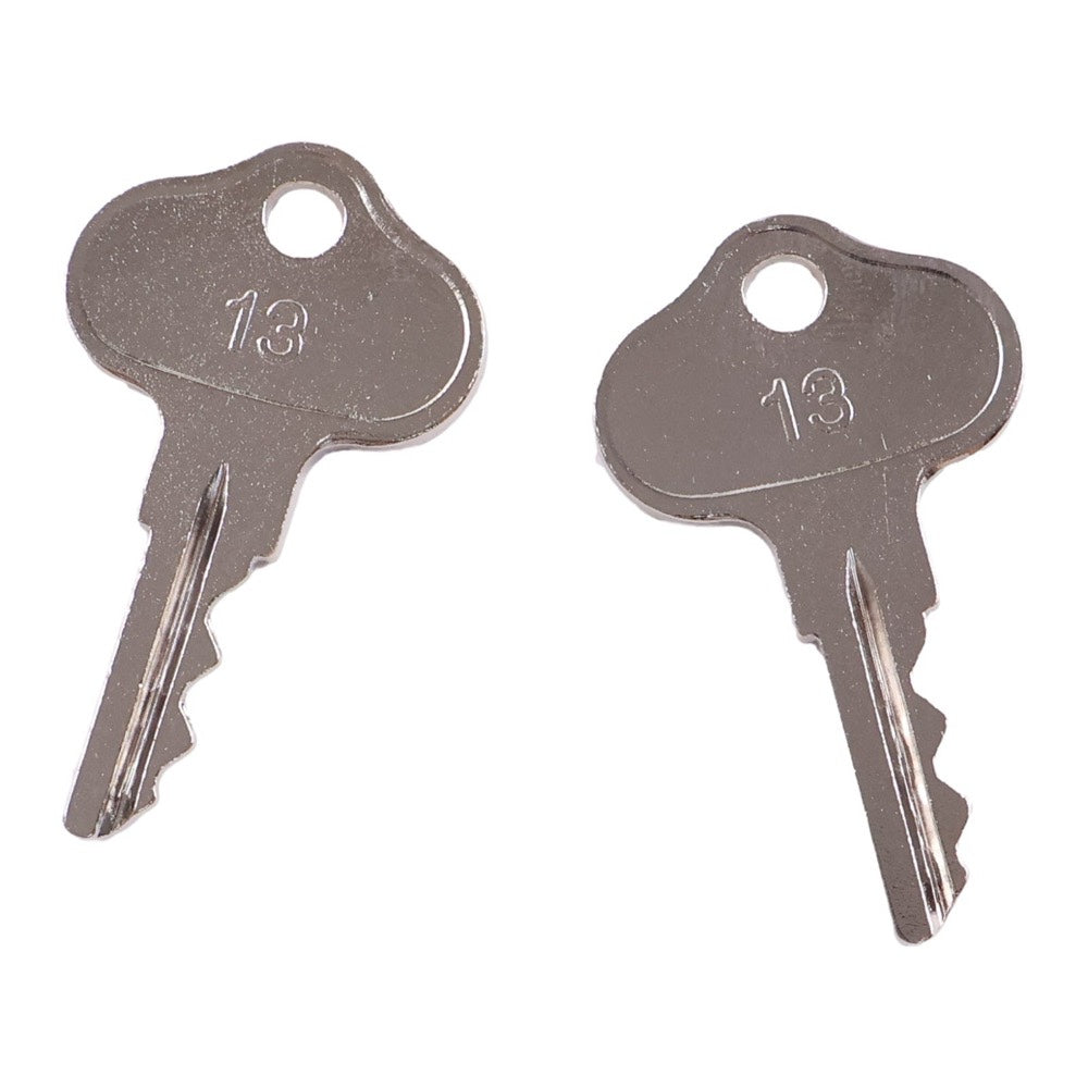 2 Pcs Ignition Keys 089070 fits Gehl Forklift 552 553 663 883 1083